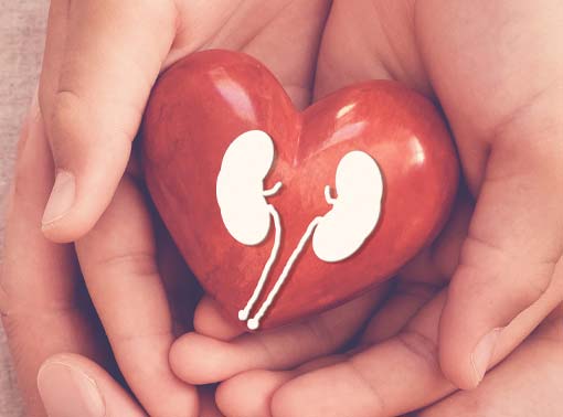 Donate Kidney