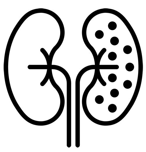 Meta Architecture